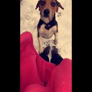 Meet your Posher, Jacey